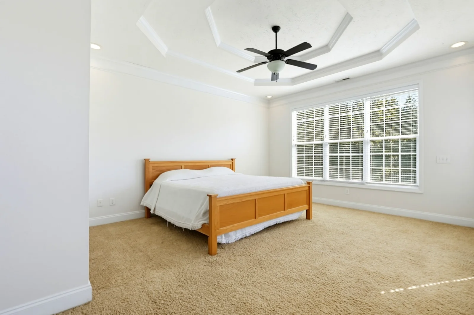 Master bedroom with a tray ceiling and a wide window